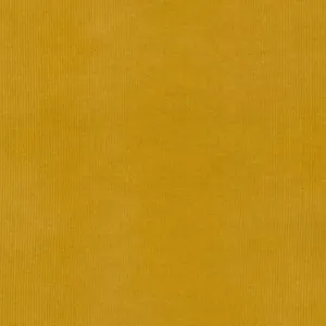 21 Wale Corduroy in Ginger